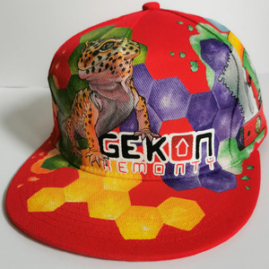 Gekon-Remonty
