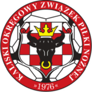 Związek Piłki Nożnej, OZPN