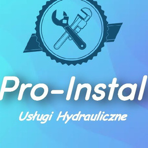 PRO-INSTAL Dawid Dziubiński