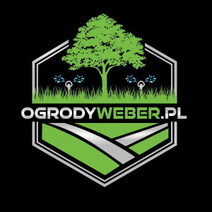 Usługi miniładowarką AVANT