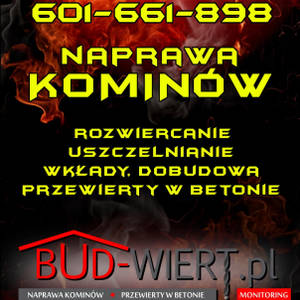 Bud-Wiert.pl