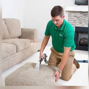 Żywiec Pranie tapicerki i dywanów