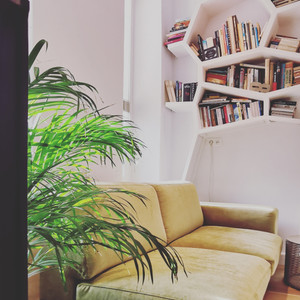 @kaa_studio_  @mediproject