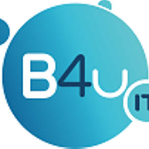 B4u-IT Rafał Mydlarz