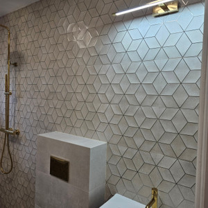 zaza natchkebia GMP-BUD