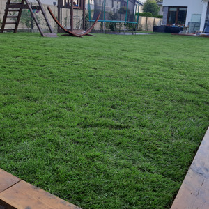 Mariusz Kujawiak usługi ogrodnicze.