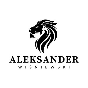 Aleksander Wiśniewski - Best Solutions