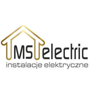 MS Electric