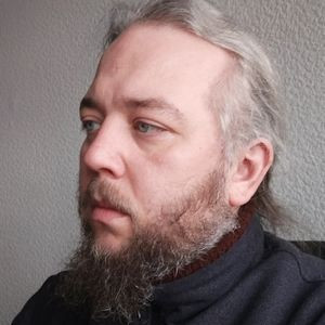 szarykaczor