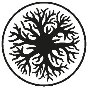Dendrologicznie Maciej Byrczek