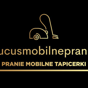Pucuś-Mobilne Pranie Tapicerki