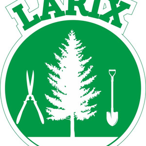 Larix Ogrody
