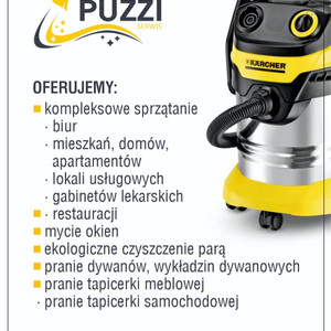 PUZZI SERWIS SANDRA BEREŹNICKA GĄSKA