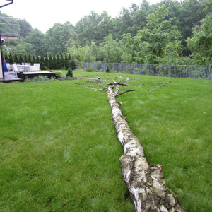 ALPIN UW -  Radoslaw Pająk