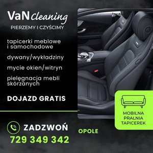 VaNcleaning