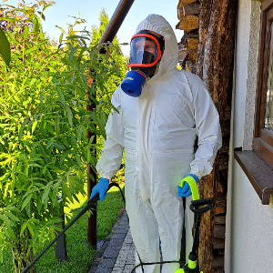 TOMSON - Dezynsekcja