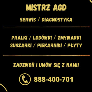 Mistrz AGD