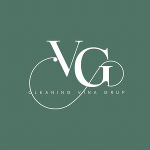 ViNa grup