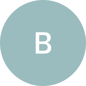 BudexPol
