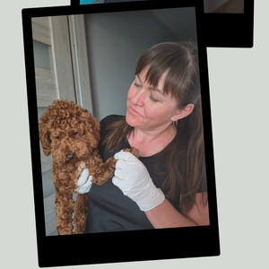 Mariia Cherkas Support & Services