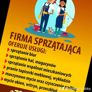 Usługi Sprzątające Damian Gąbka