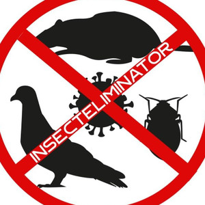 Insecteliminator