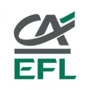 Autoryzowany Przedstawiciel EFL
