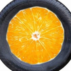 Pomarańczowy Raj Piotr Stolarski