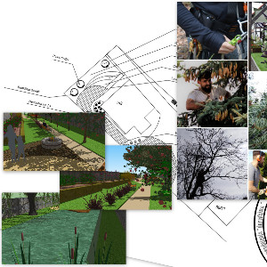 Pan Słonecznik Michał Dominiczak