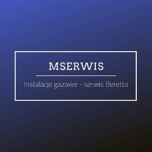 Mserwis