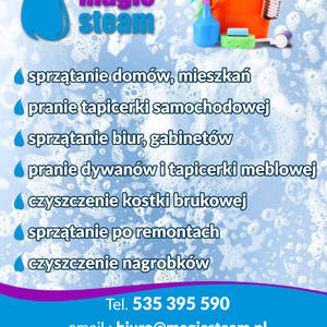 Magic Steam Krystyna Pasternak