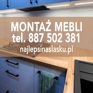 Najlepsi na Śląsku